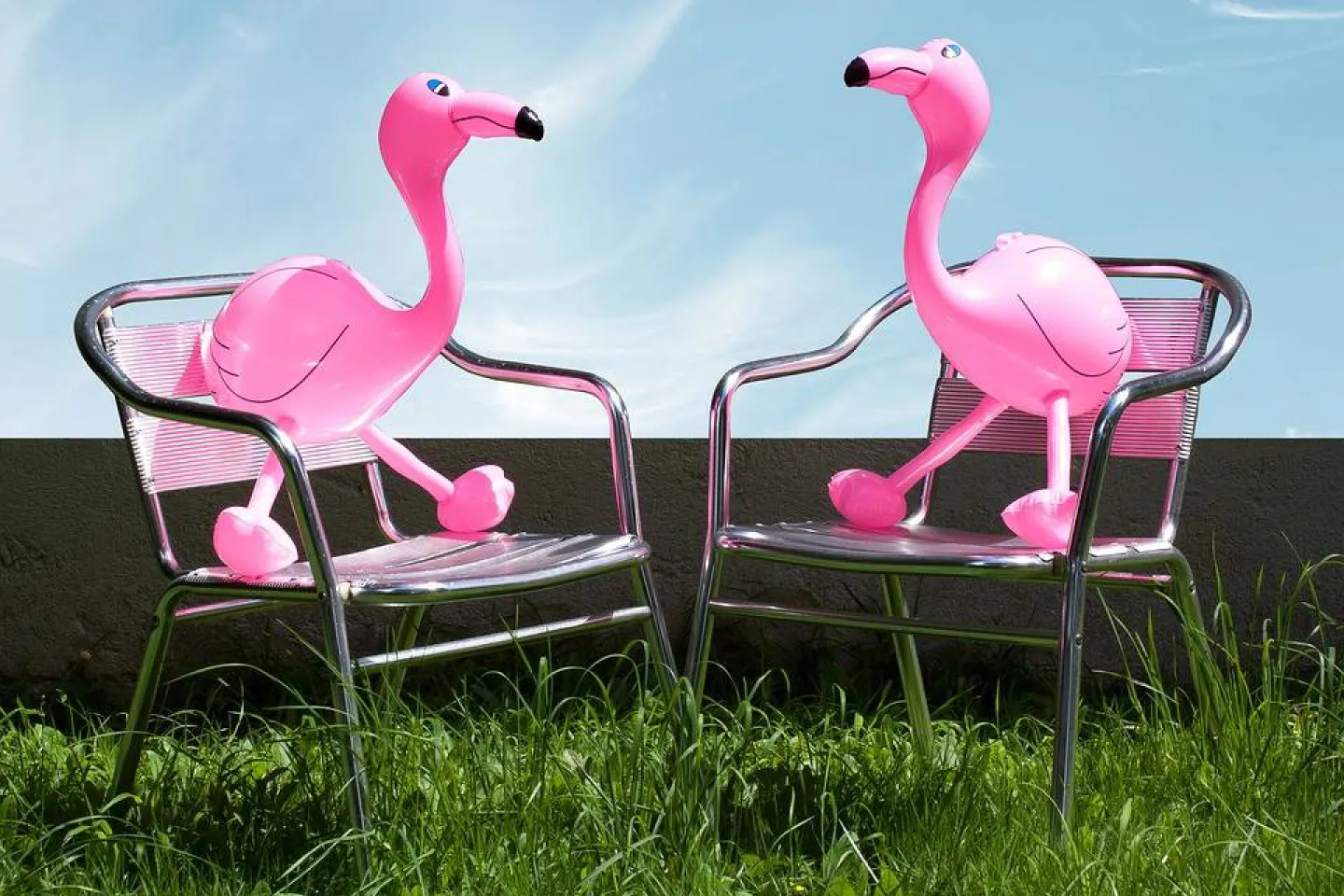 Goedekope opblaas flamingo kopen.