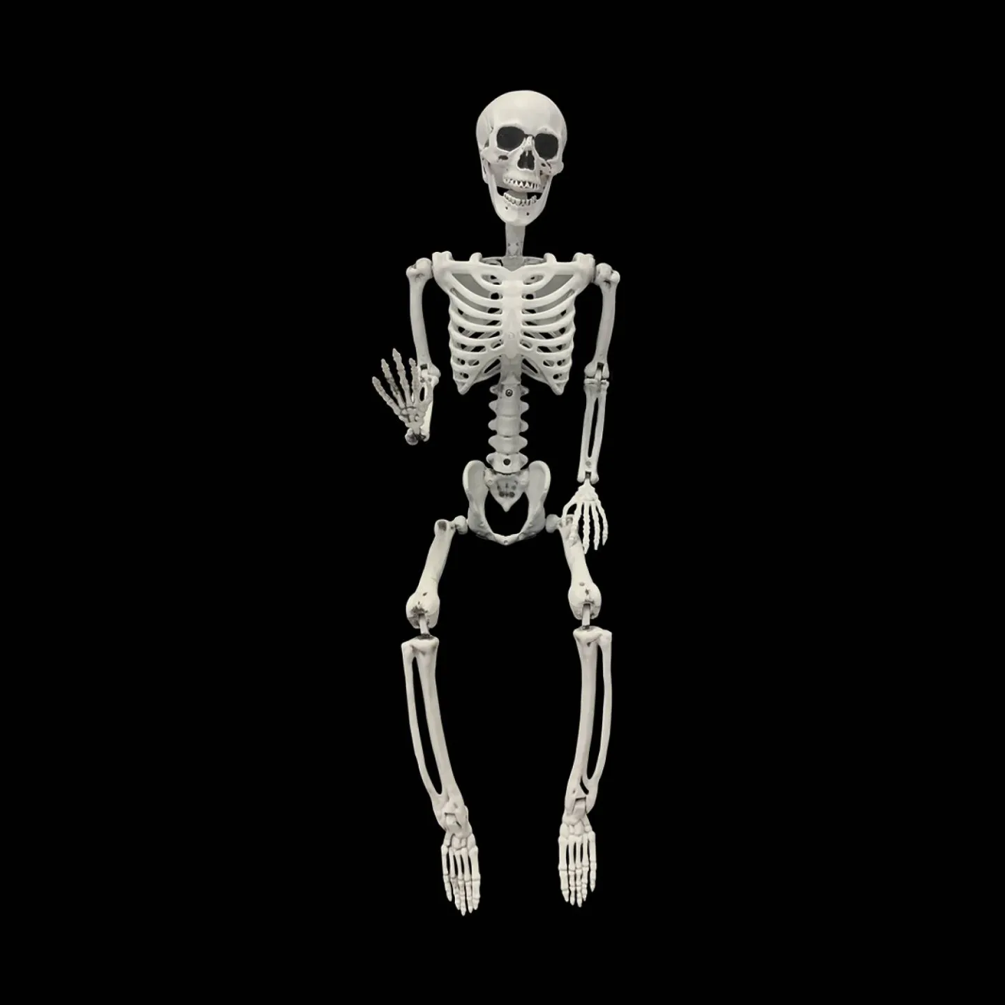 Halloween skelet 90cm.