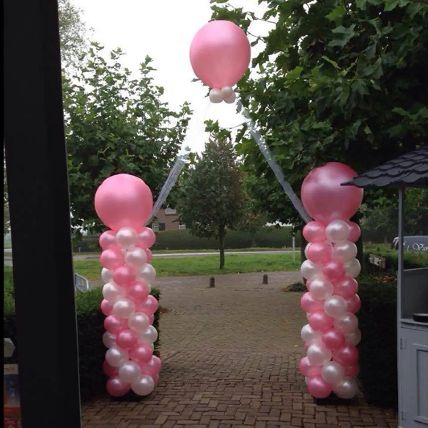 Roze ballonnen kopen.