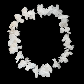 Hawaii krans - Wit