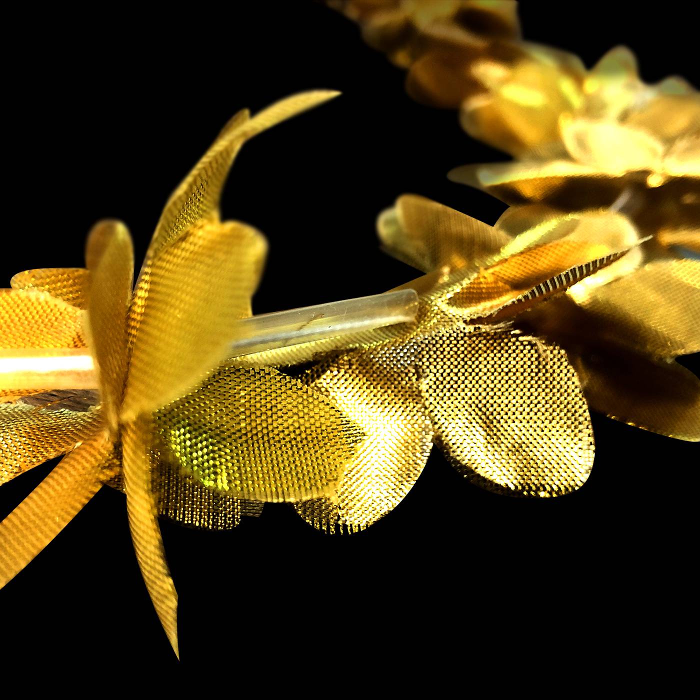 Gouden hawii krans