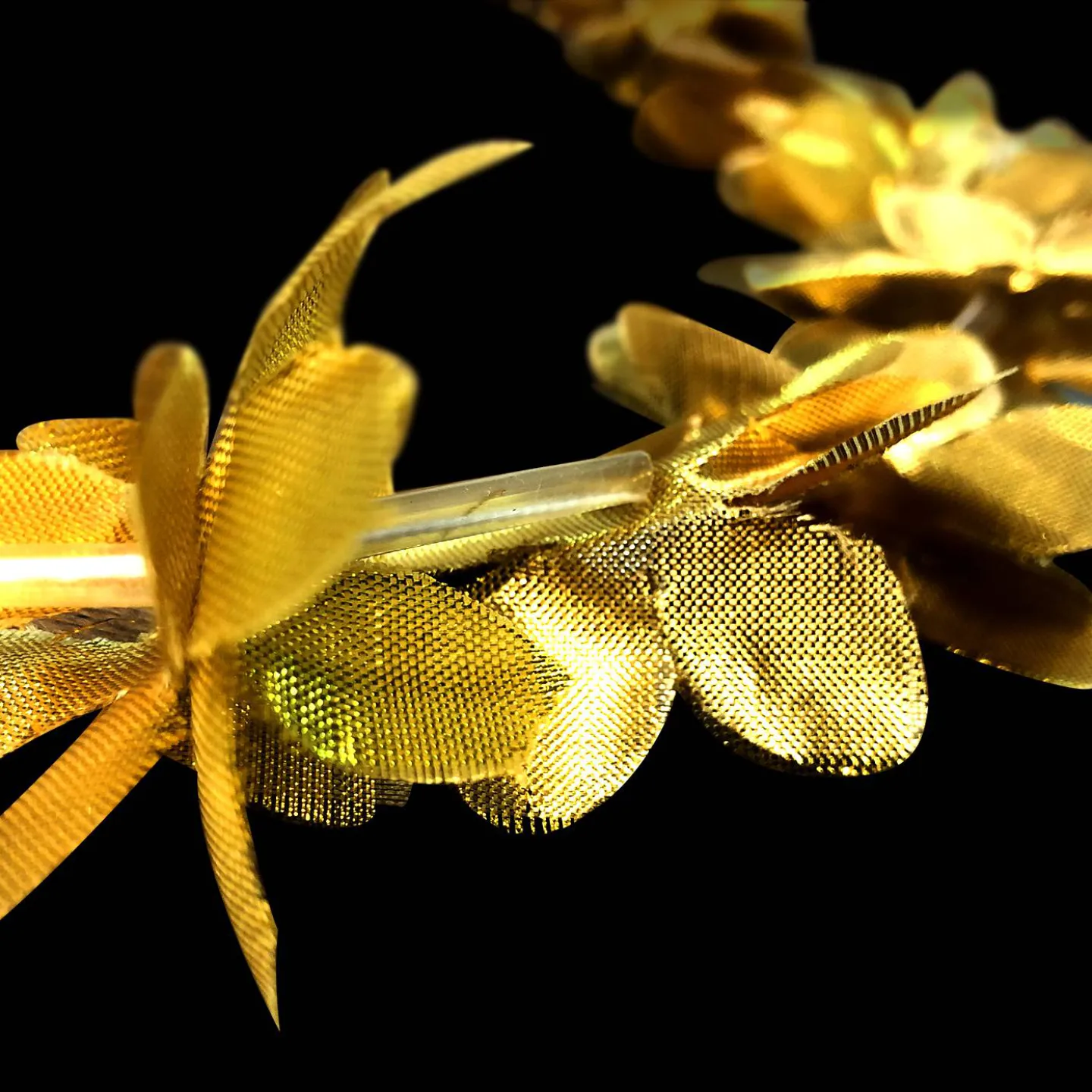 Gouden hawii krans.