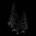 Mooie zwarte kerstboom kopen
