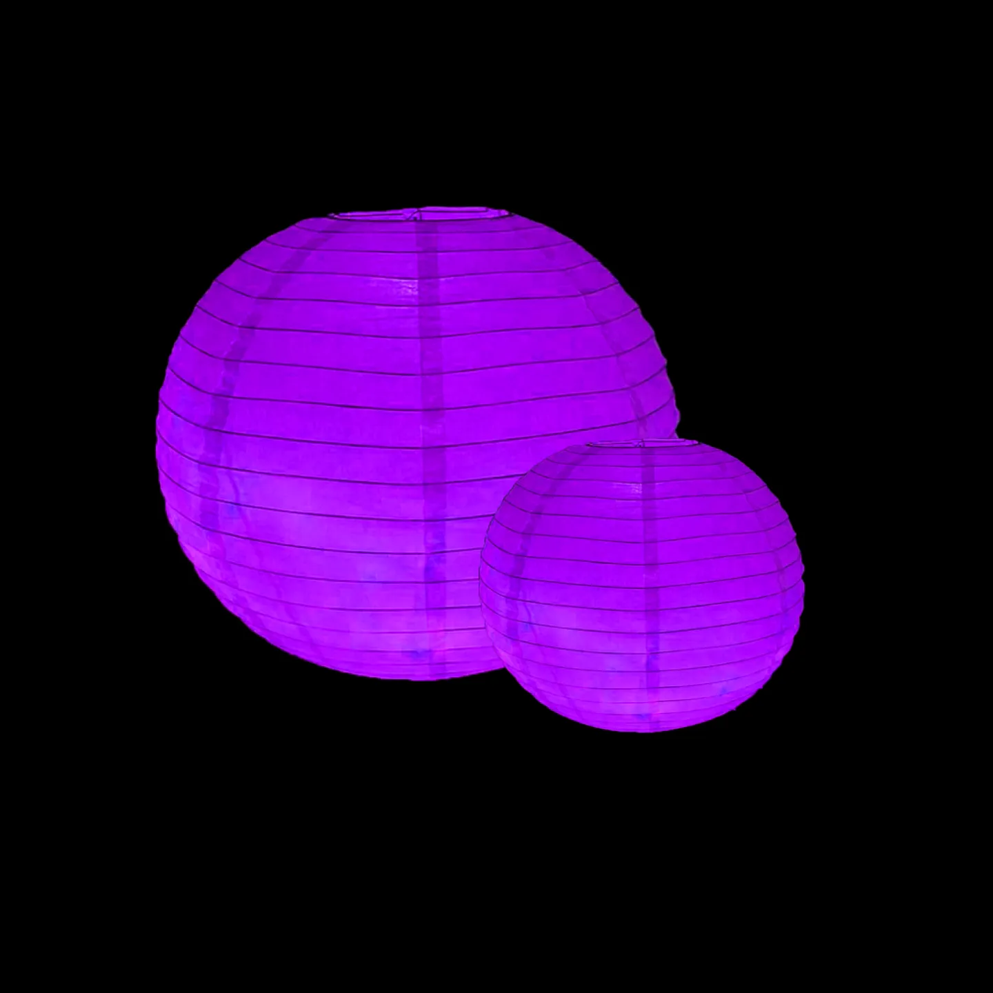 lampion lampje paars goedkoop.