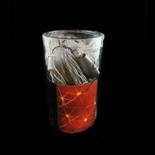 Goedkope kerstboomverlichting 20 lampjes 3m