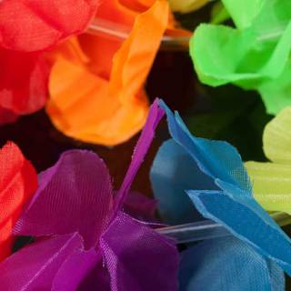 Hawaii krans regenboog versiering 2