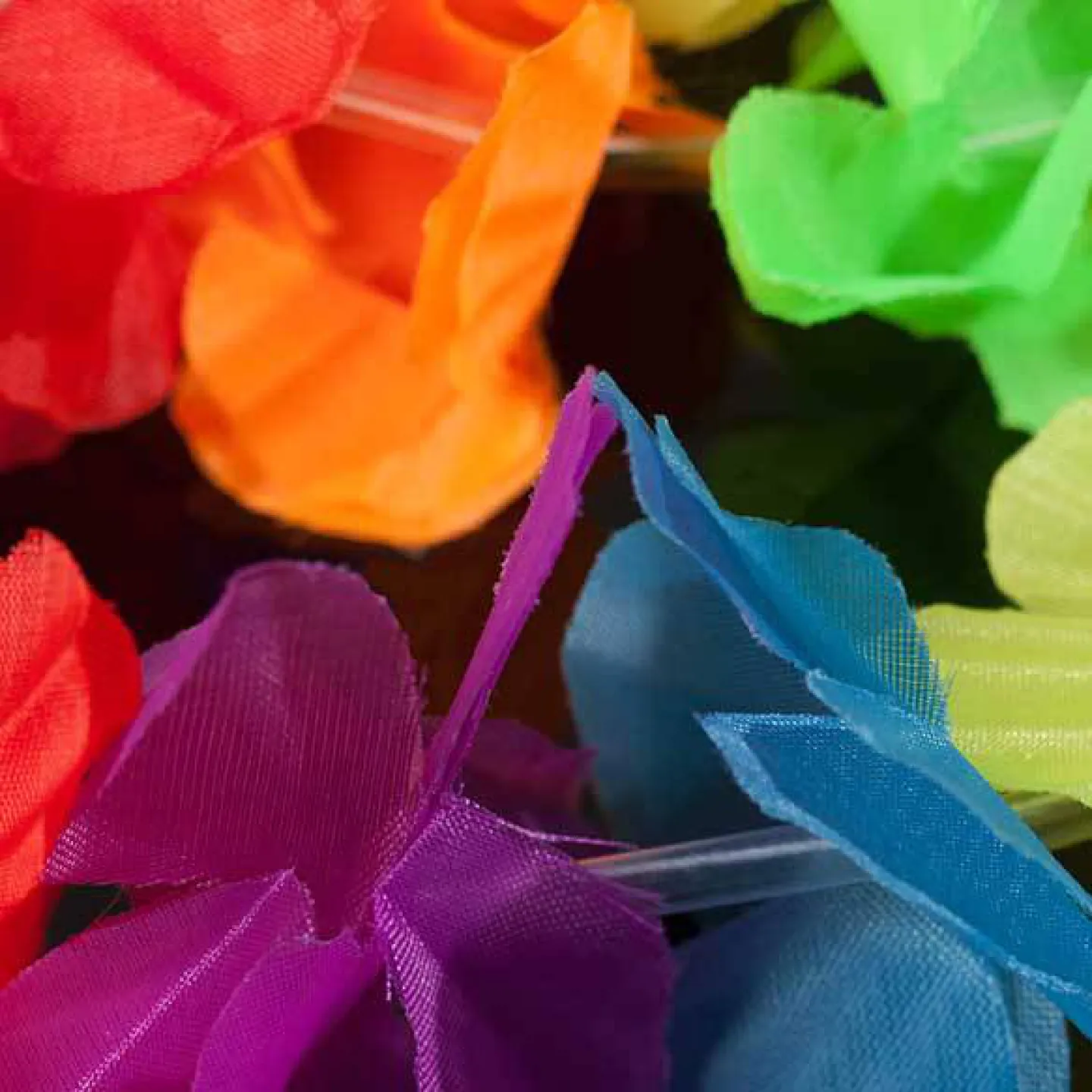 Hawaii krans regenboog versiering 2.