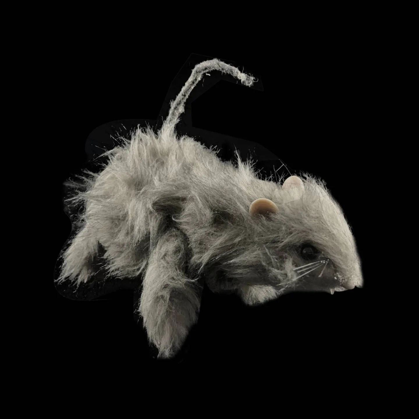 Halloween ratten kopen.