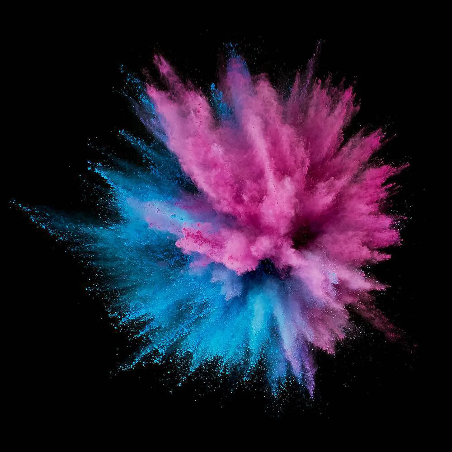 Holi color powder kleurenpoeder gender r.