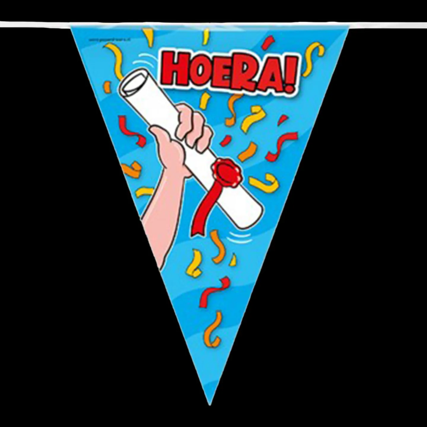 Vlaggenlijn geslaagd hoera.