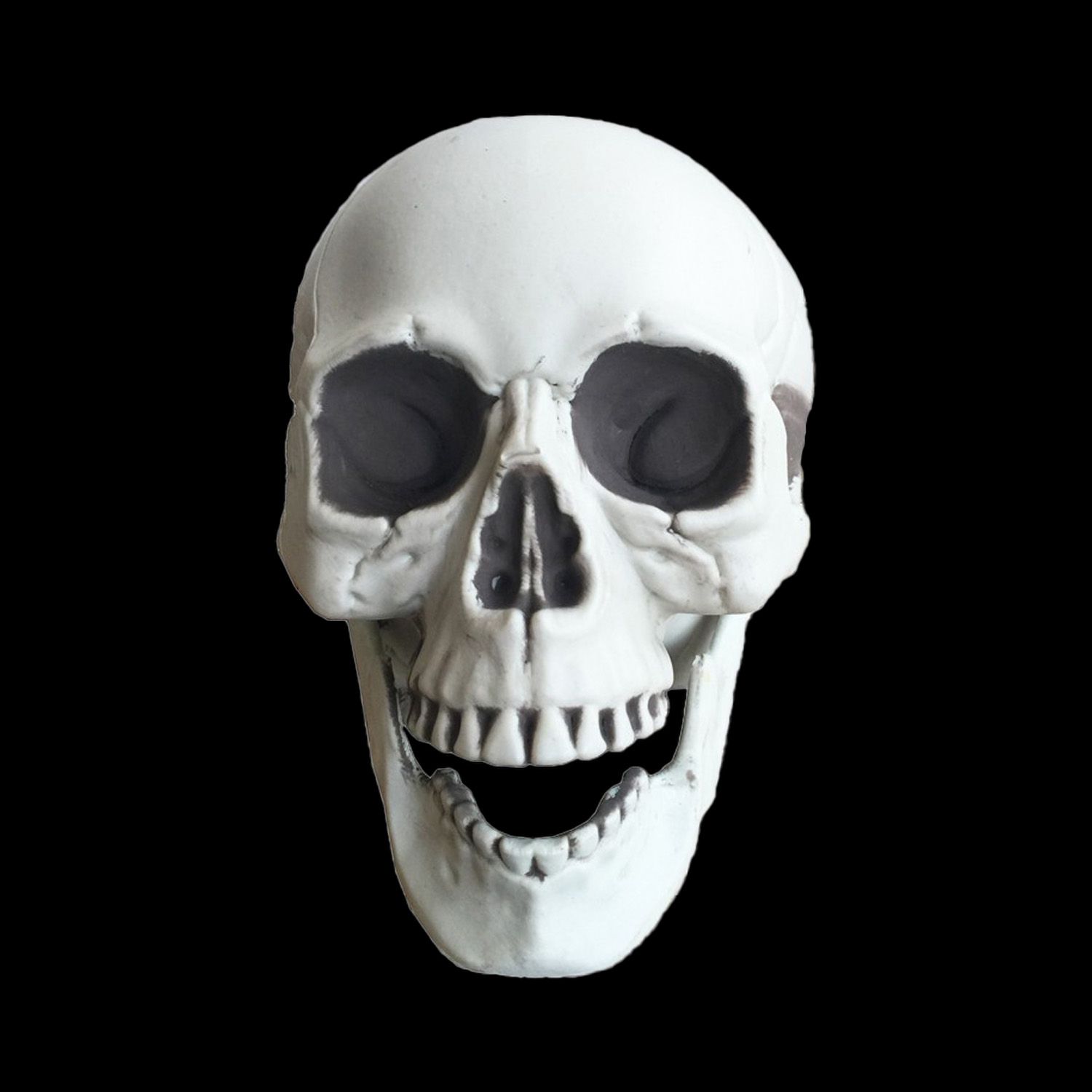 afbreken gespannen Voorwoord Halloween schedel 21cm x 16cm x 15cm kopen? | De Horeca Bazaar