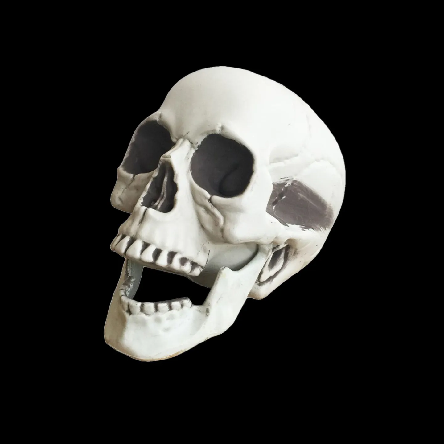Halloween schedel 21cm x 16cm x 15cm kop.