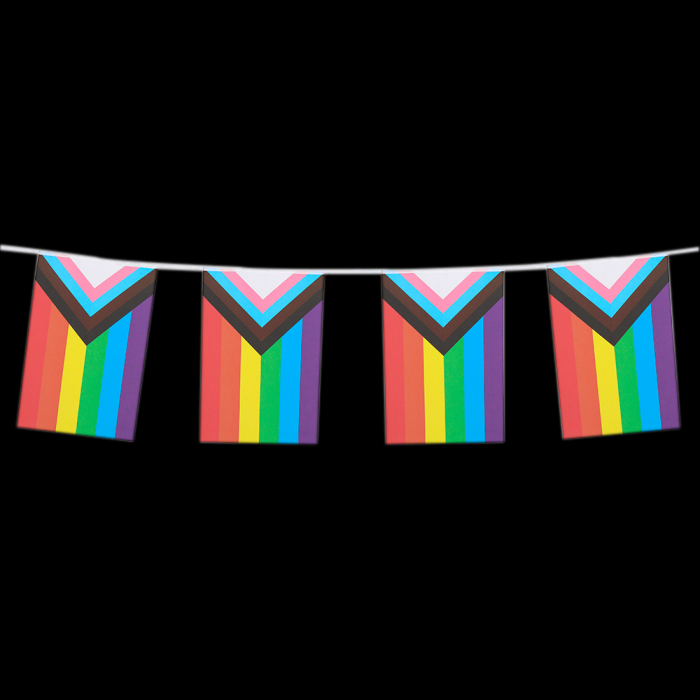 Vlaggenlijn Regenboog Progress 6m