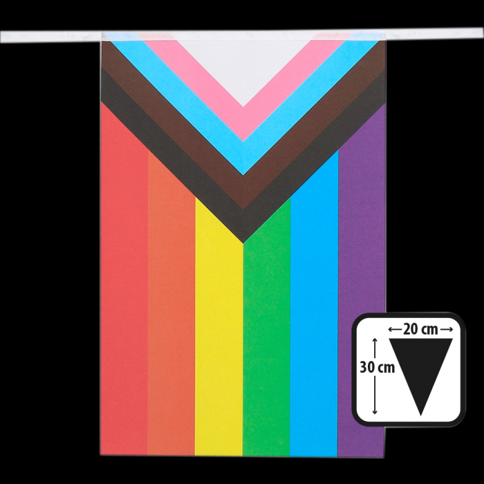 Vlaggenlijn Regenboog Progress 6m kopen