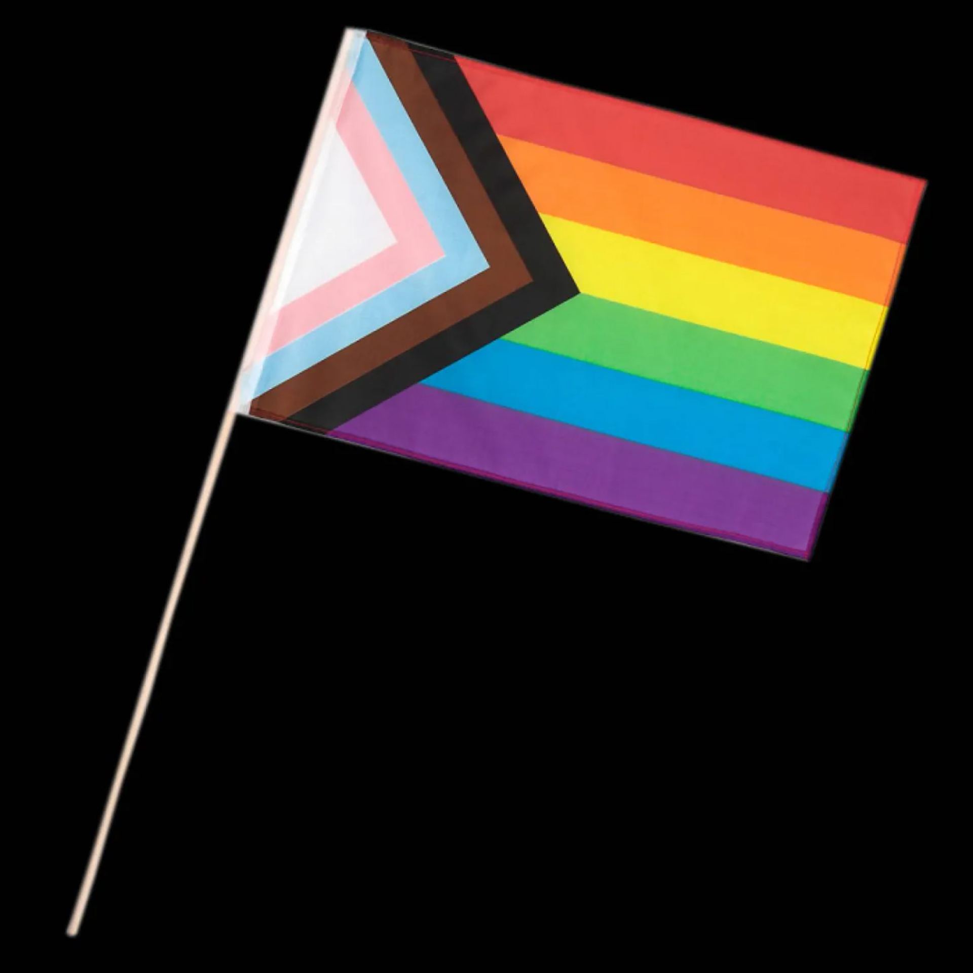 Zwaaivlag regenboog progress 30x45cm