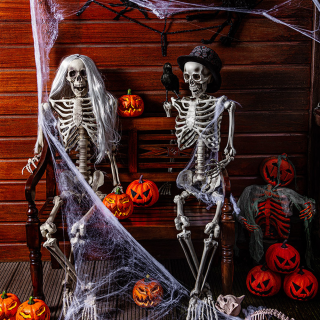Halloween kraai kopen