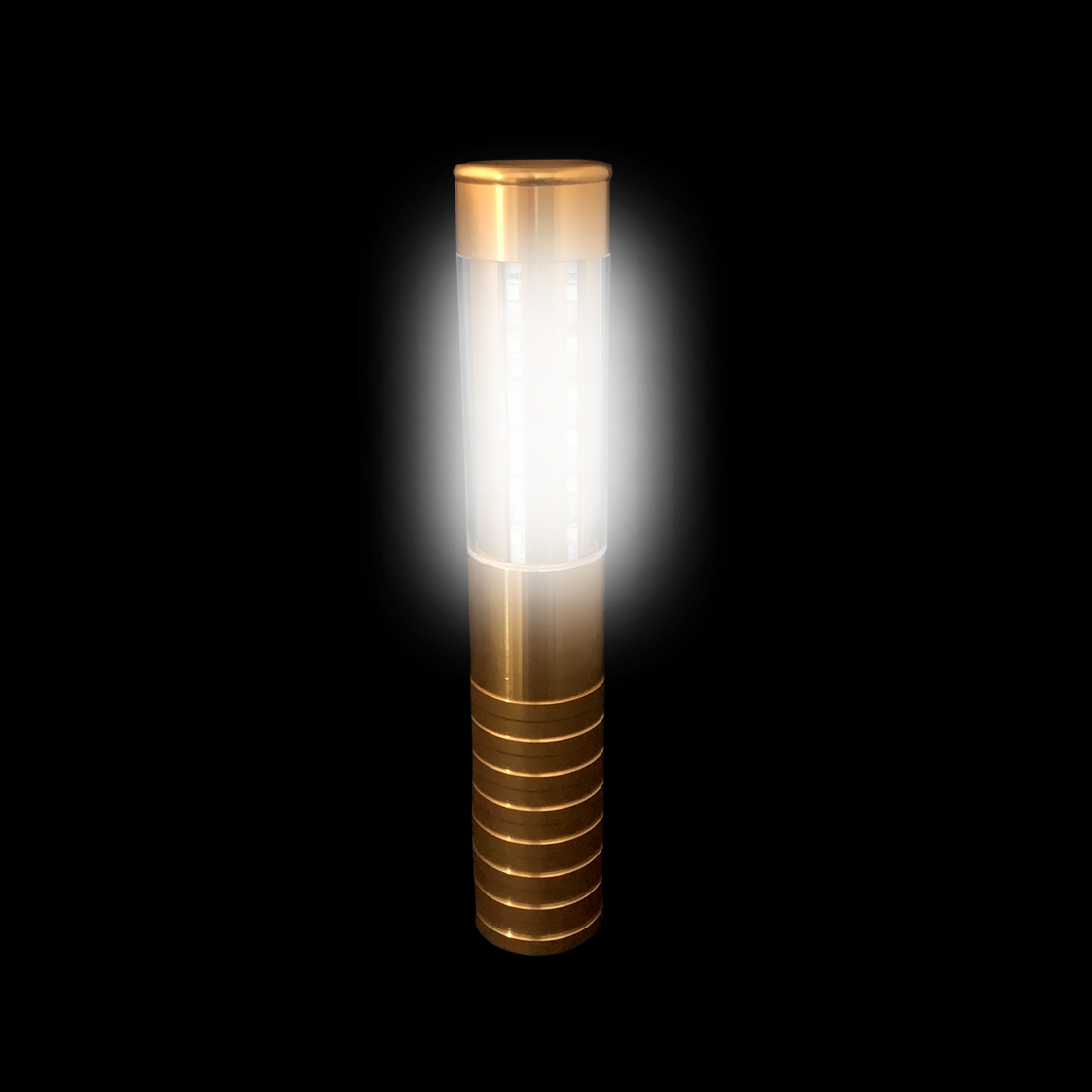 Champagne fles topper LED