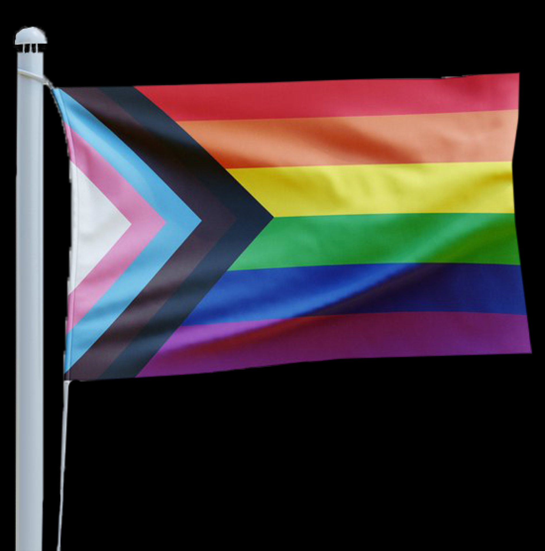 Regenboog Progress vlag  90x150cm kopen