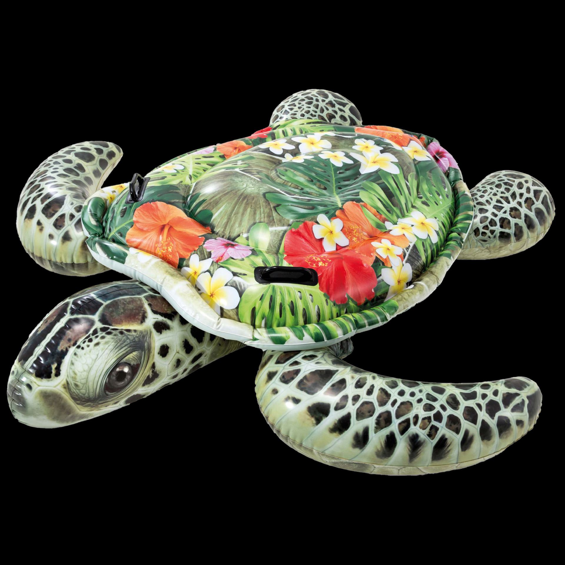 Opblaas zeeschildpad kopen