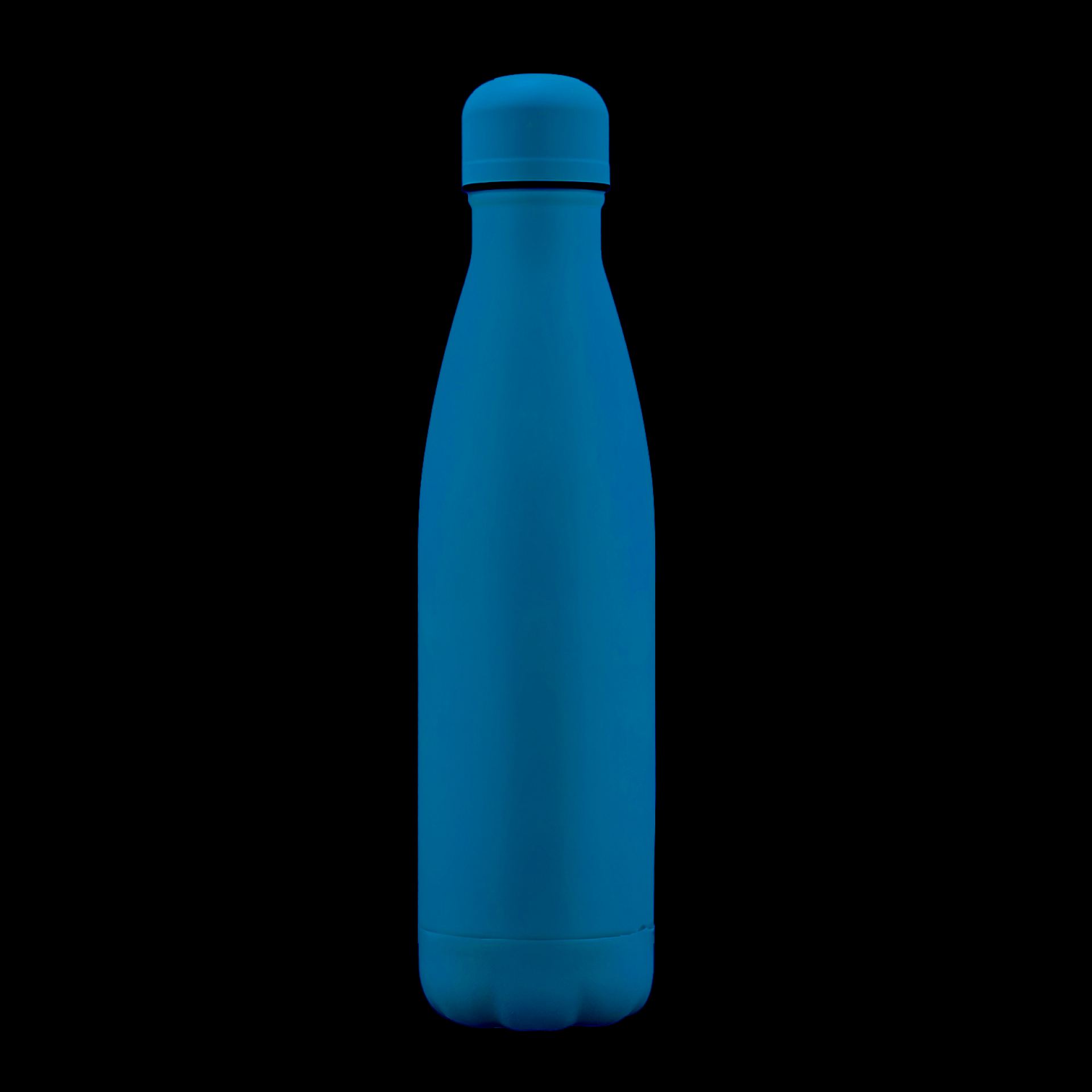 RVS waterfles 50cl blauw