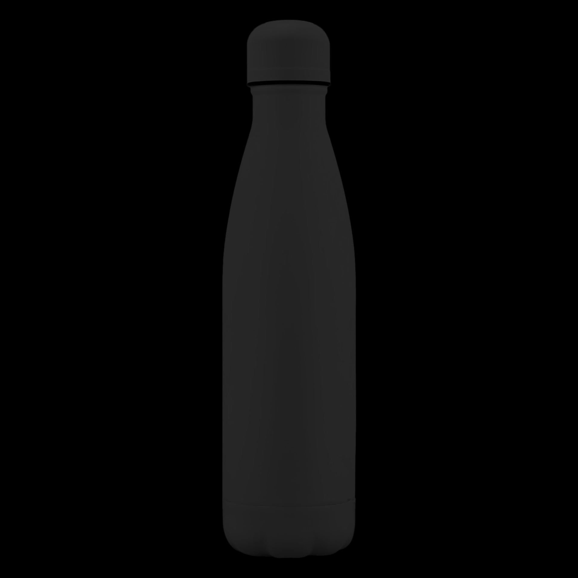 RVS drinkfles 75cl zwart.fles