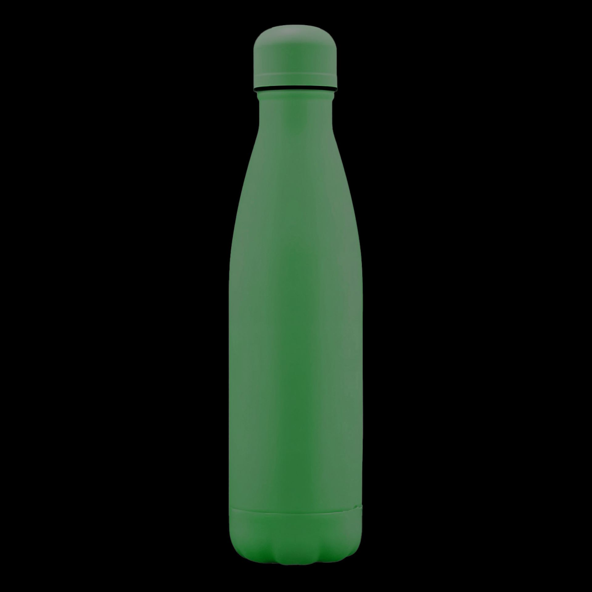 RVS waterfles 75cl donkergroen