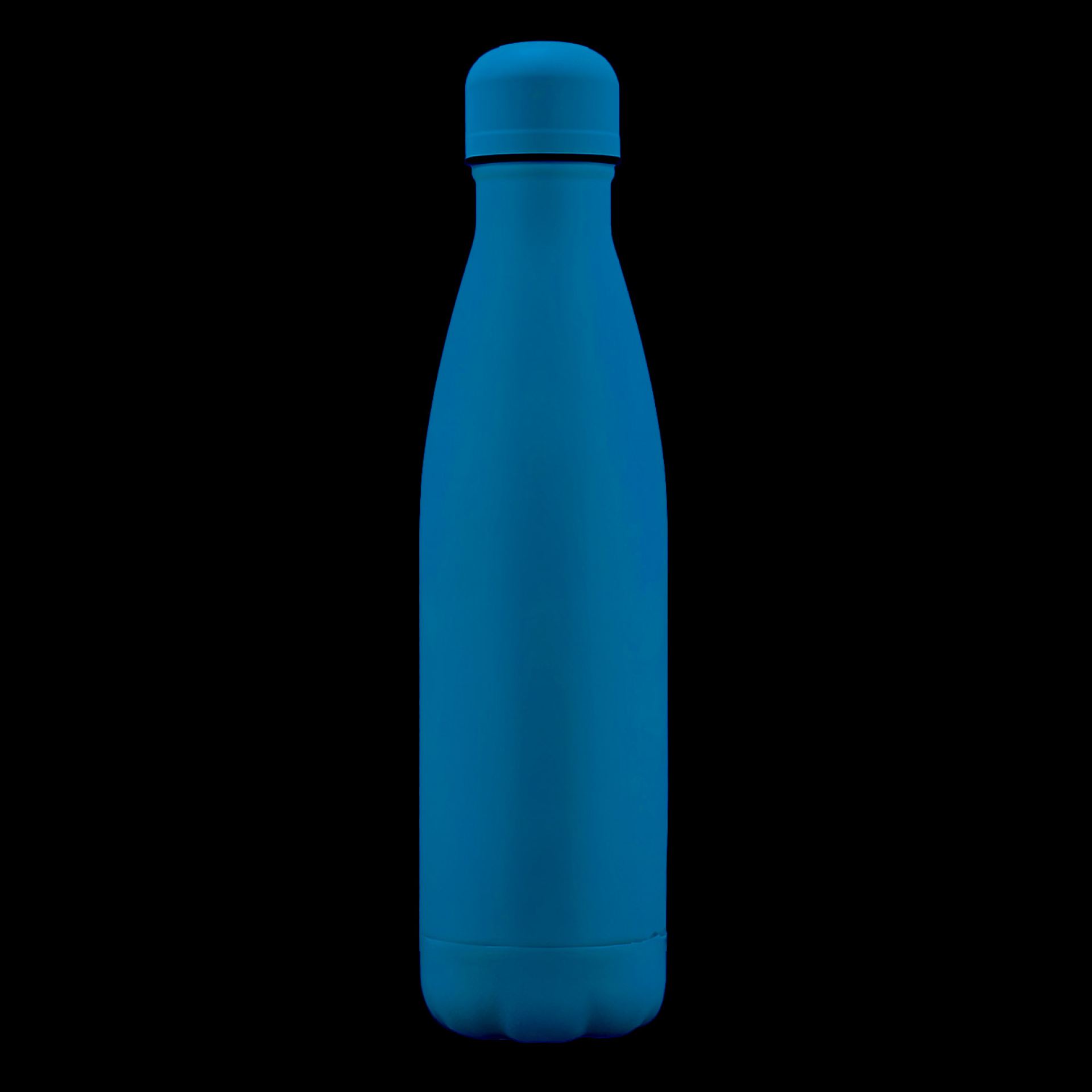RVS waterfles 75cl blauw