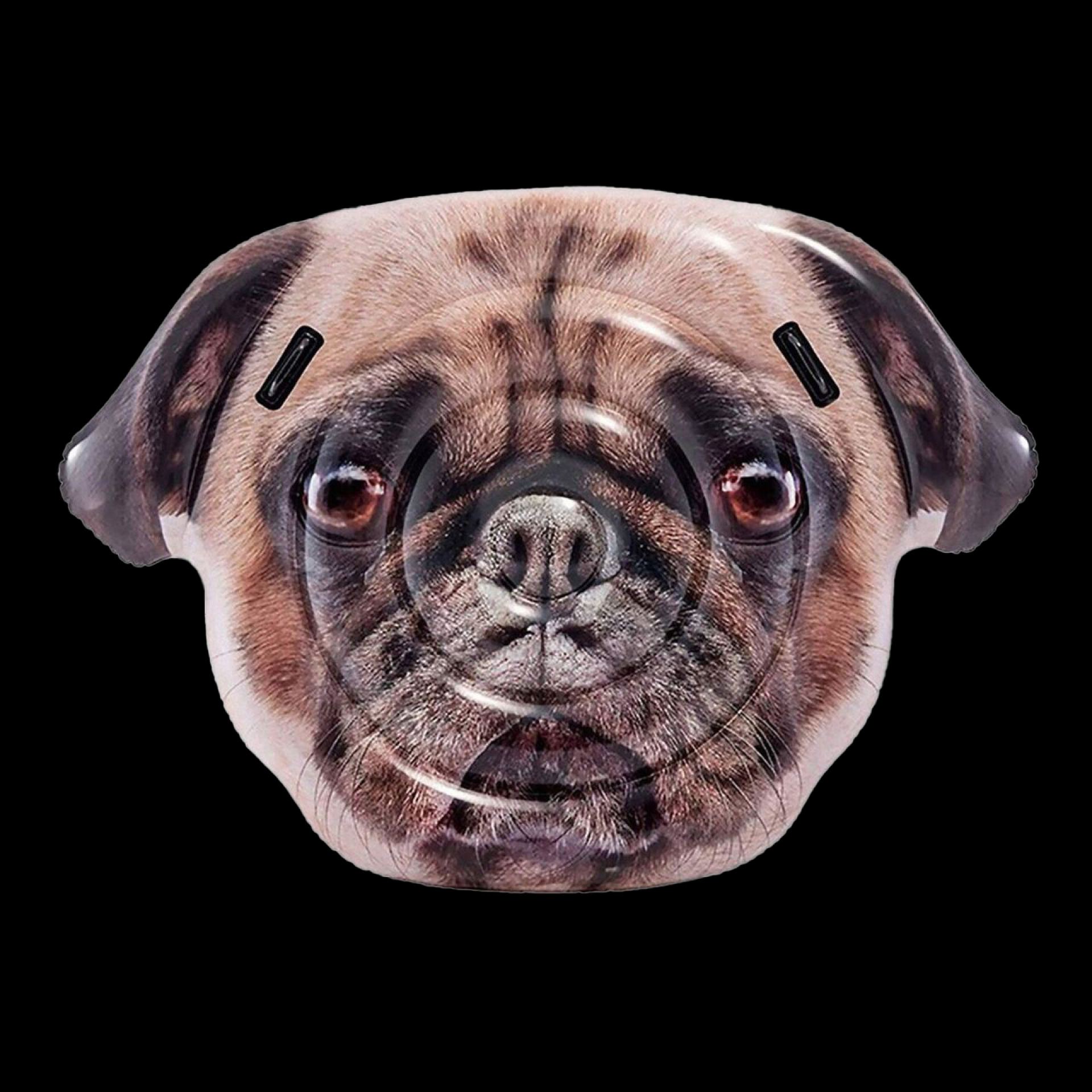 Luchtbed hond 173x130x23cm