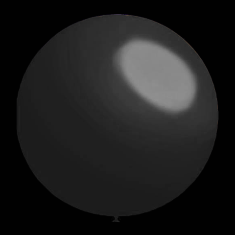 Zwarte ballonnen rond 30cm