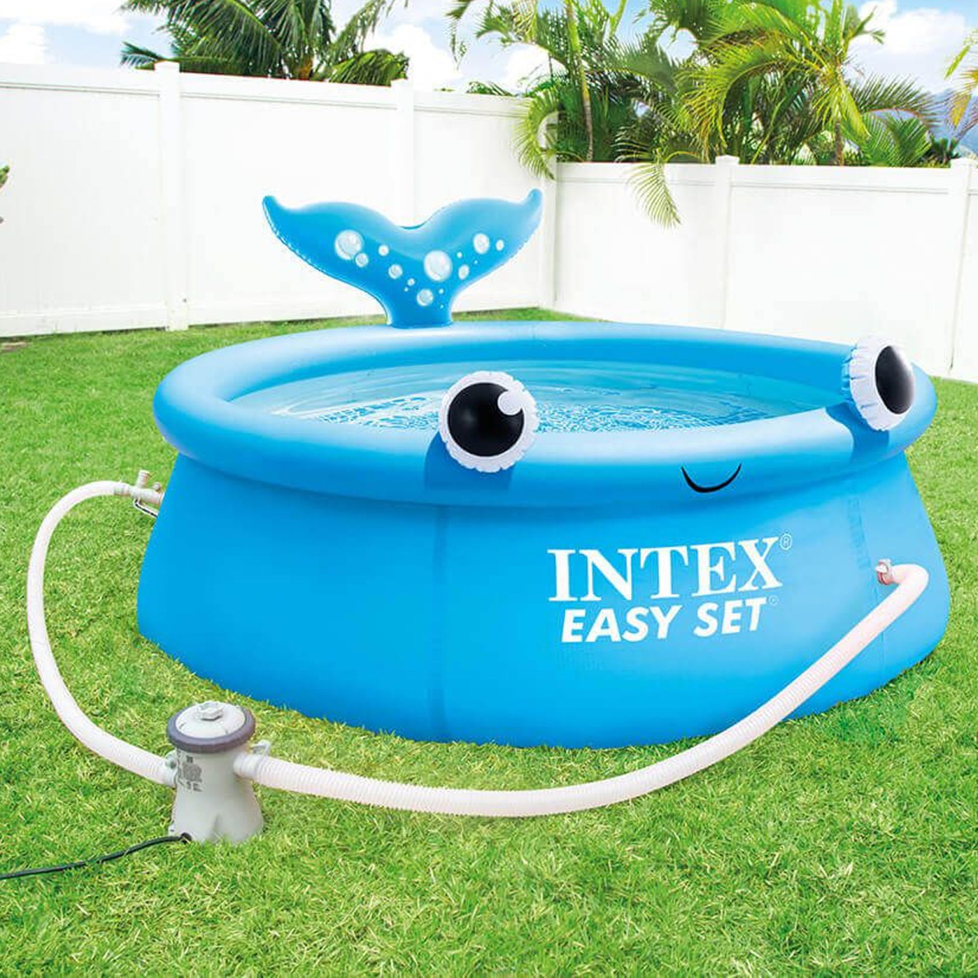 Intex jolly whale easy set pool voorbeeld