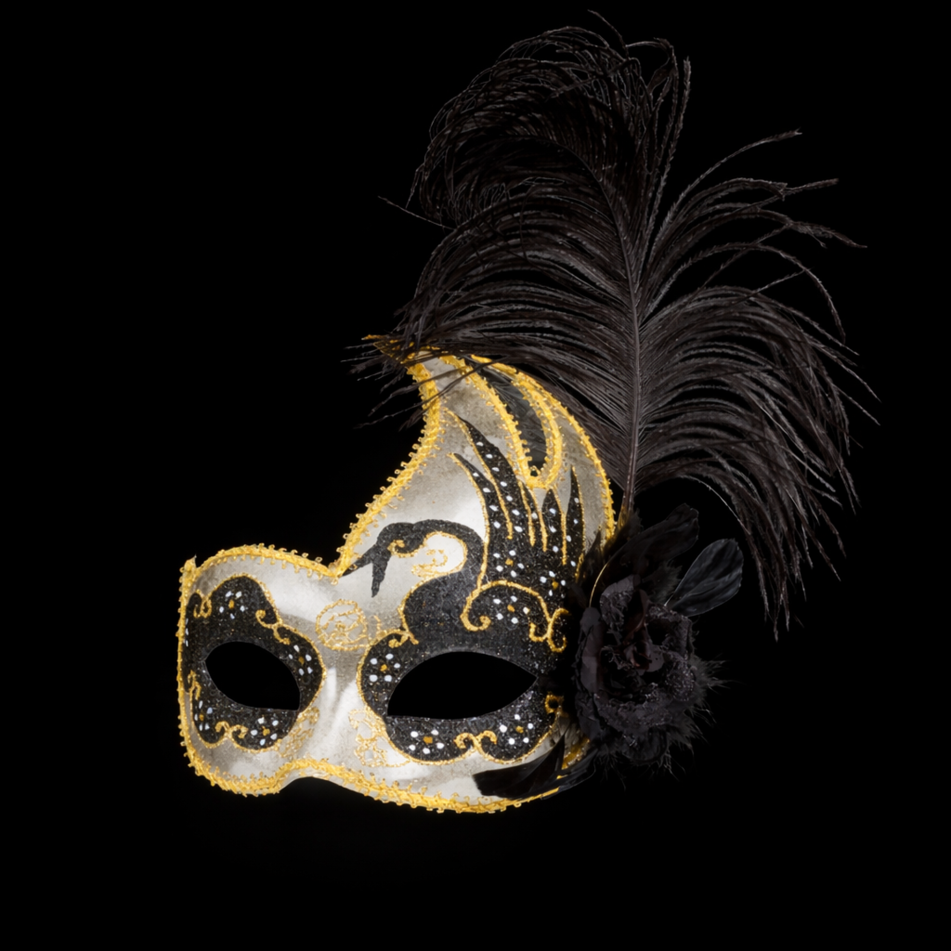 Venetiaans masker venice veren