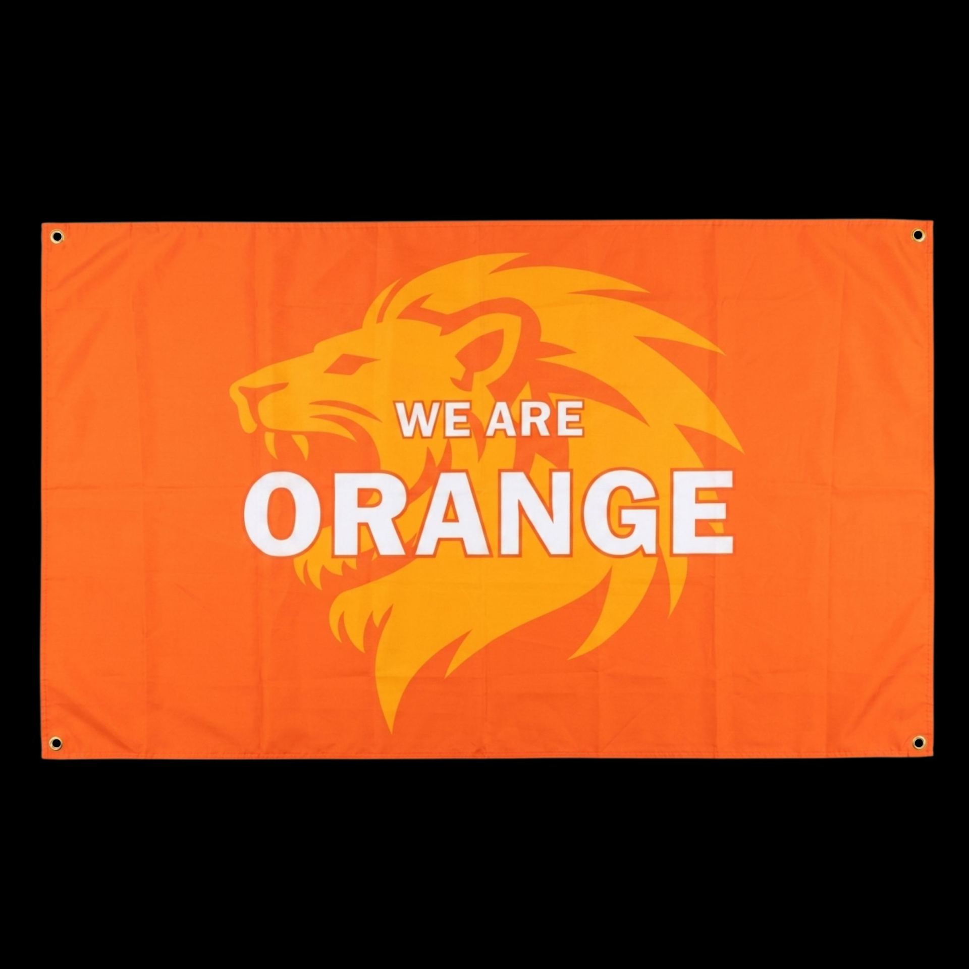 Wk elftal nederlands voetbal vlag leeuw