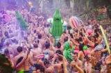 Opblaaskrokodil festival kopen