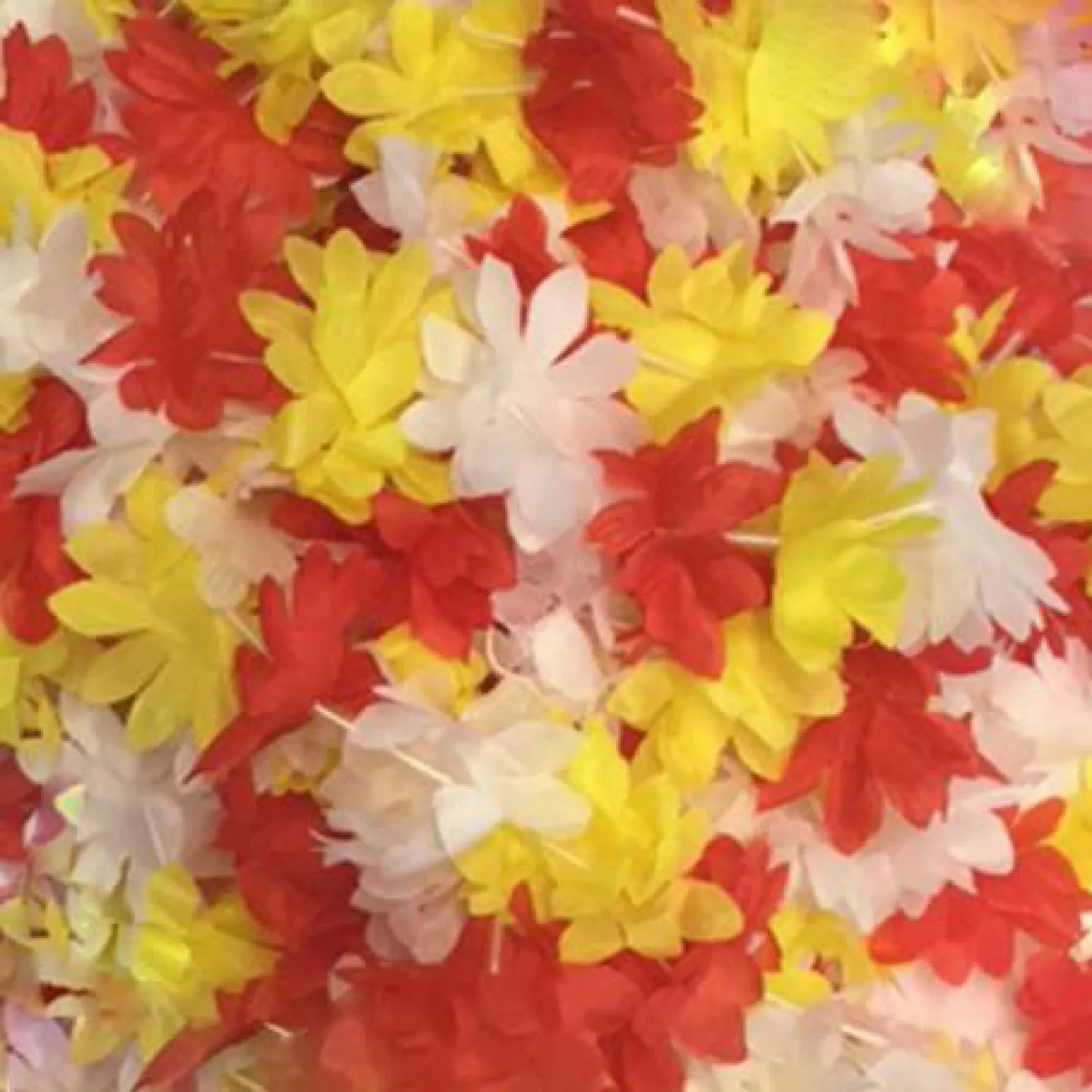 oeteldonkse kleding kopen hawaii kransen.