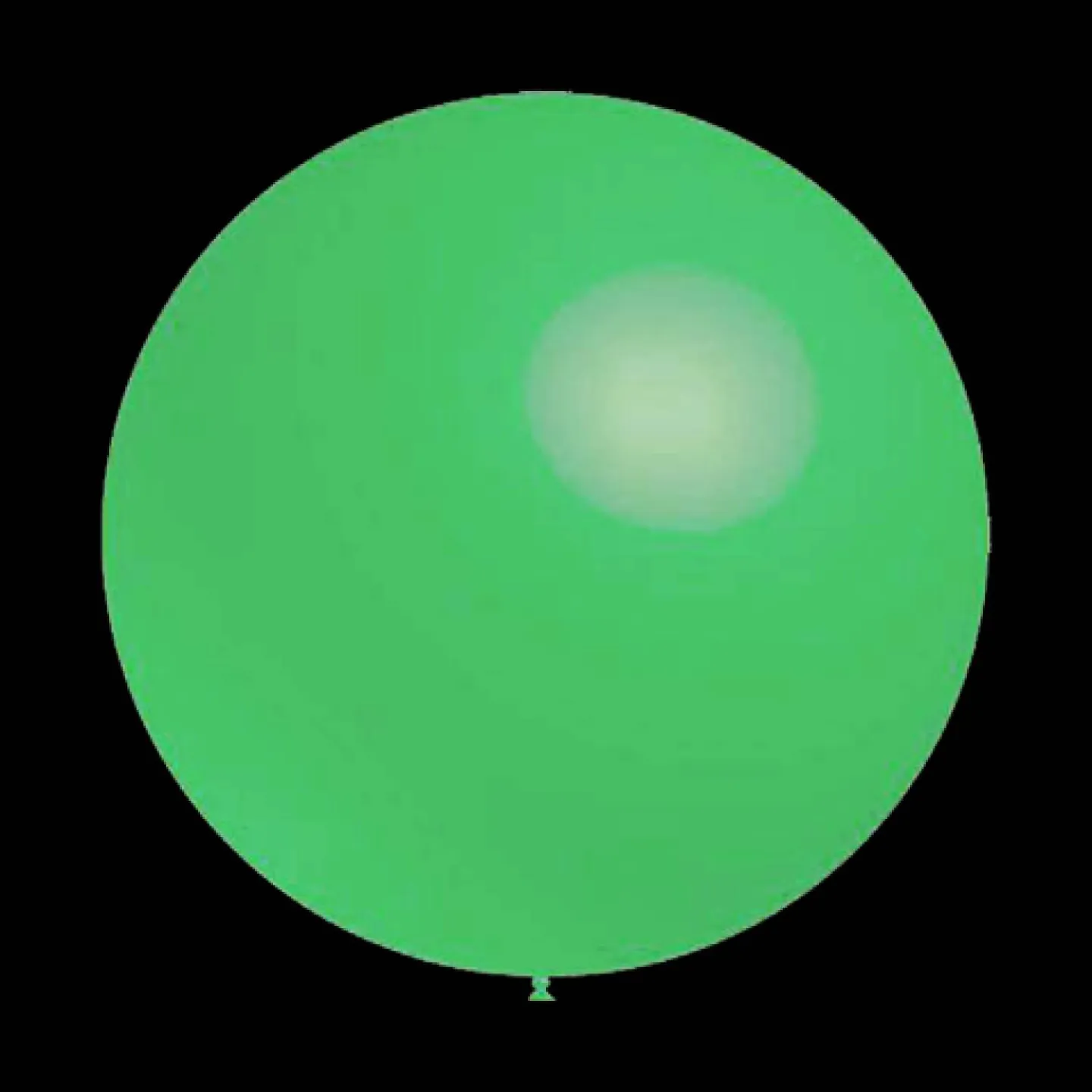 Mintgroene ballonnen rond 30cm bestellen.