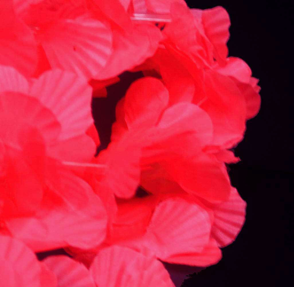 Roze hawaii krans kopen
